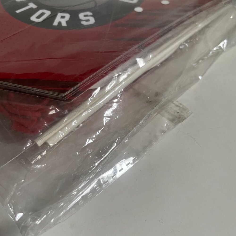 Toronto Raptors Basketball Party Kit - Picture 6 of 9